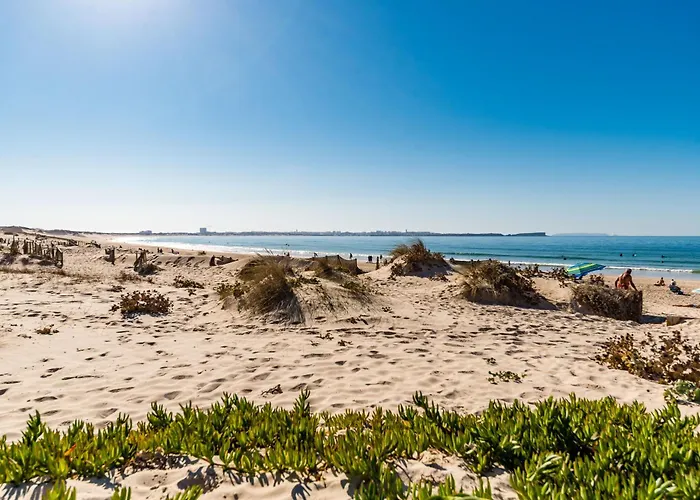 Daire Pointsurprise House 2